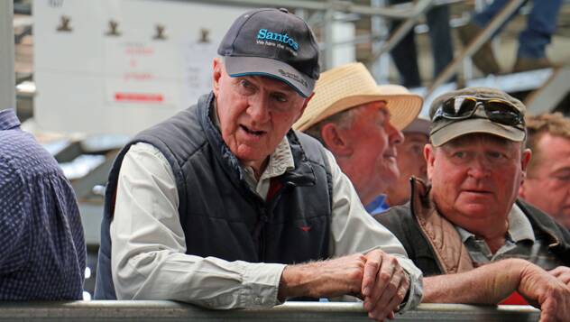 Commission buyer Graeme Ward, Albury, NSW, has bought cattle from the mountains for close to 60 years. Picture supplied by Herefords Australia