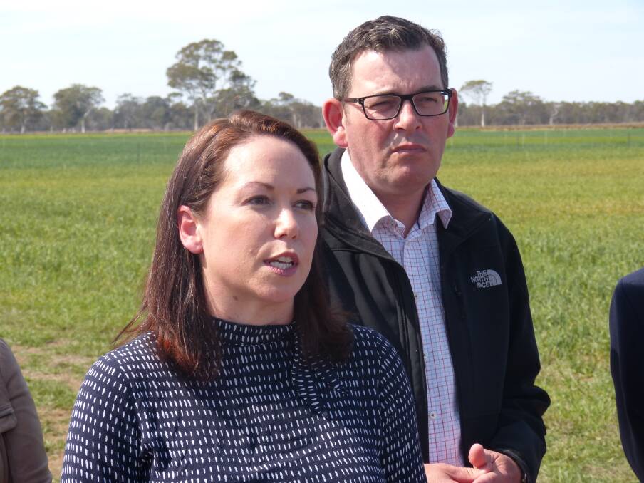 ANNOUNECMENT: Agriculture Minister Jaclyn Symes said the plan would help unemployed workers find new jobs.