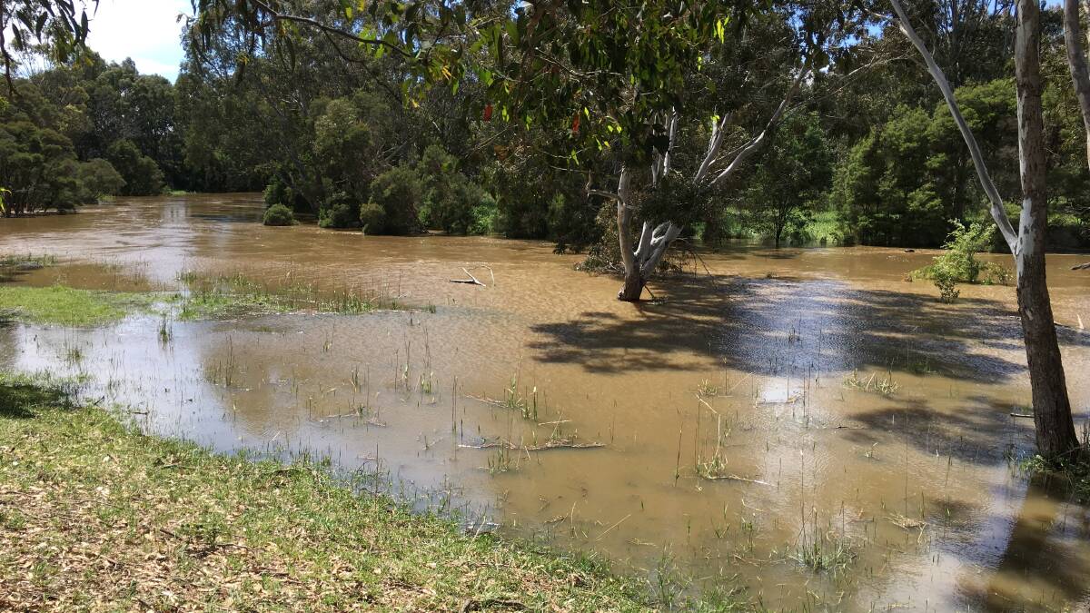 WATER: The Latrobe River pictured in November at Kilmany, near Sale, under flood.