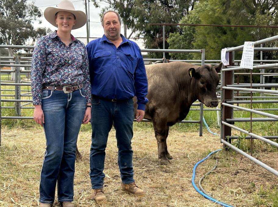 Ally Peter, Clare, SA, represented Steven and Katrina Sanders, Ballyvaughan Murray Grey stud, Clare Valley, SA, and Premier Murray Grey Sale chair Geoff Buick, Western Flat, SA, with the top-priced bull, Lot 50, Ballyvaughan Touch Down T8. Picture supplied