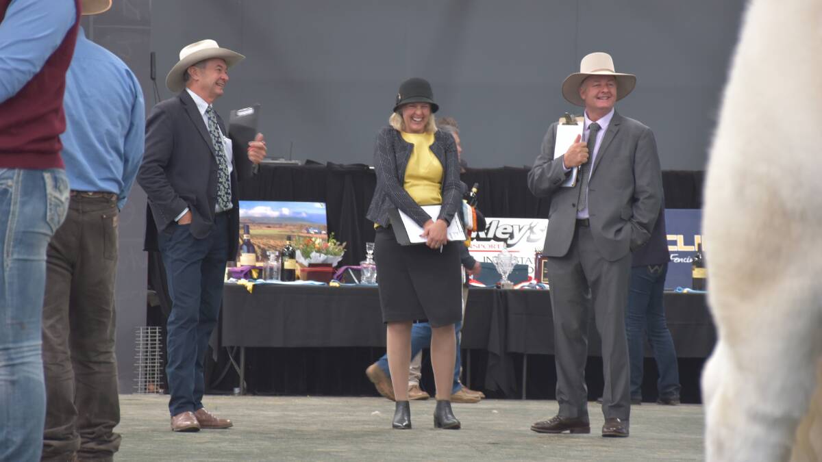 The beef cattle judging will be live streamed on Stock & Land's website. Picture by Joely Mitchell.