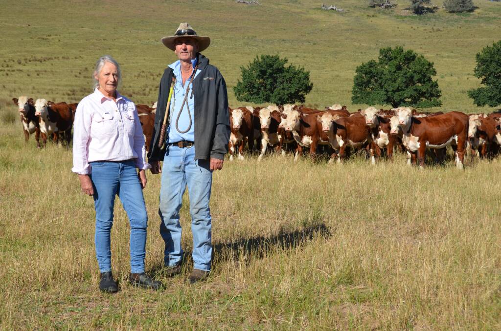 Penny and Fraser Barry, Bindi Station, Bindi, will sell their Hereford calves at Ensay. Picture by Bryce Eishold