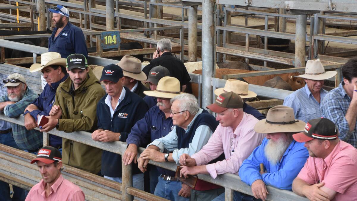 The Victorian Livestock Exchange will move its prime and store cattle sale days in 2024. File picture
