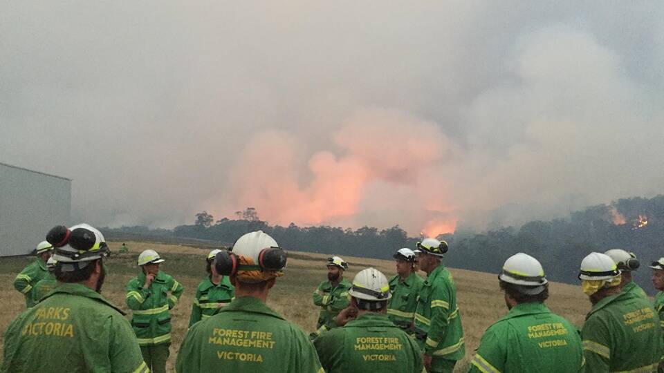 BLAZE: The Ensay Ferntree Creek fire has burned more than 40,000 hectares in eastern Victoria.