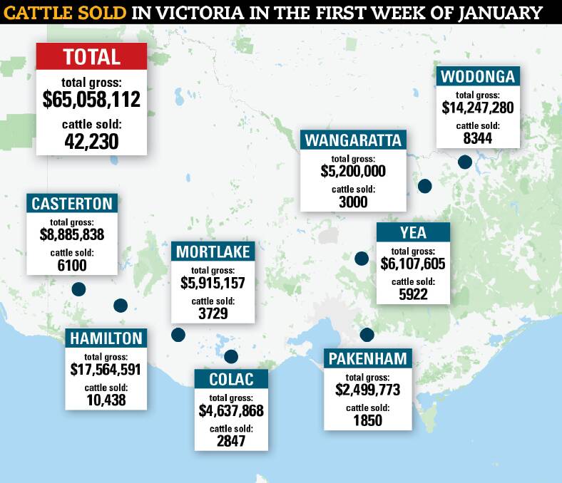 SNAPSHOT: An overview of how many cattle were sold in Victoria last week during the weaner sale series.