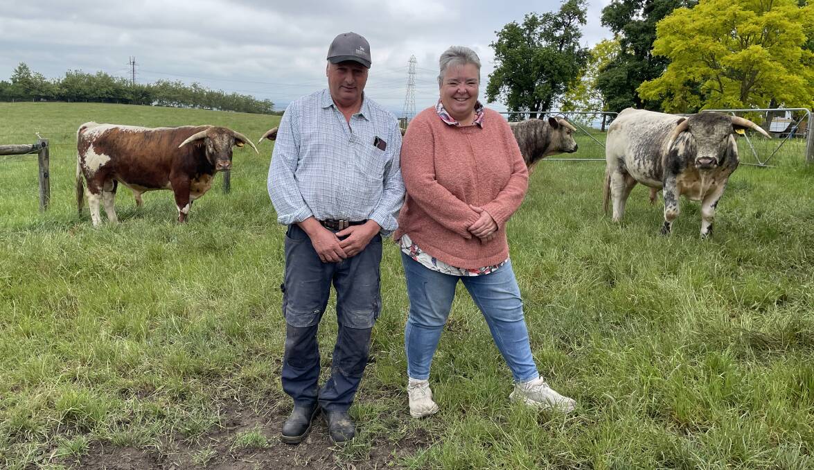 Bald Hill English Longhorn stud principals Greg and Vikki Templeton, Pakenham, started the stud in 2020 at Nar Nar Goon. Picture by Bryce Eishold