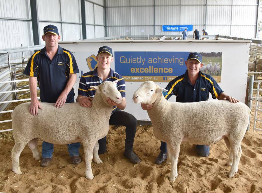 SALE TOPPERS: Janmac Poll Dorset and White Suffolk stud's top-priced rams, Lot 4 with Bryce Hausler and Carl Hausler and Lot 7 with Grant Hausler.