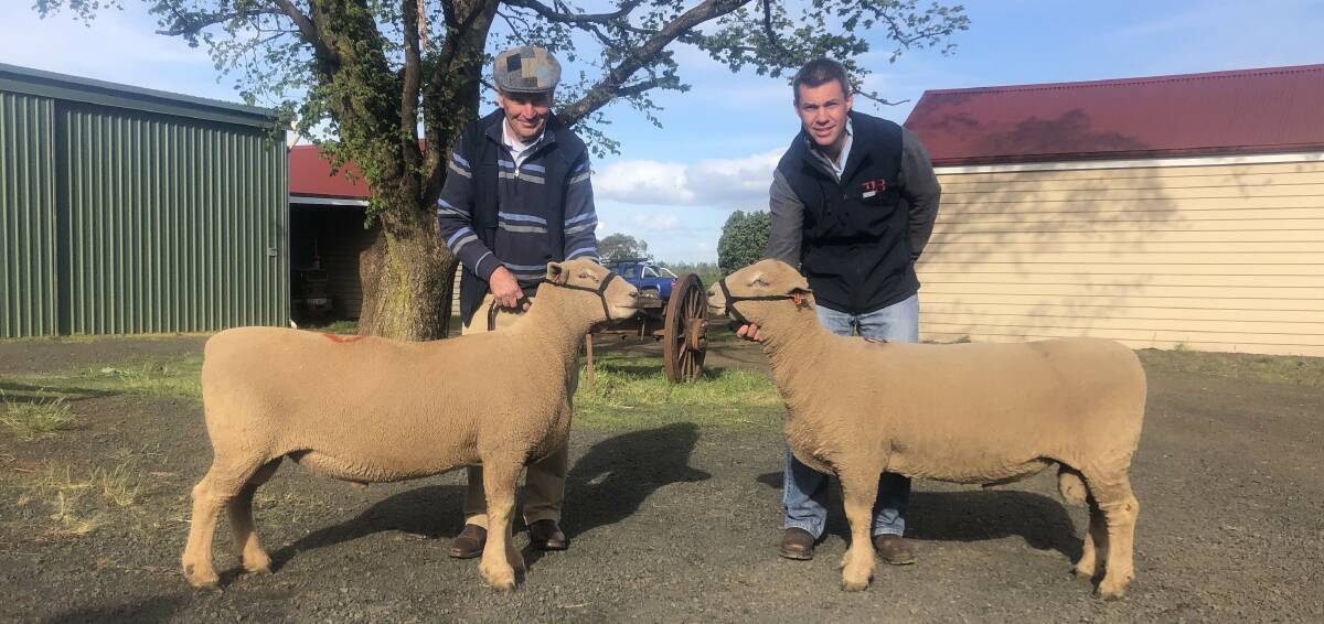 HEADING TO VICTORIA: Fairbank stud principals Frank and Chris Badcock with the two top-priced Southdown rams.