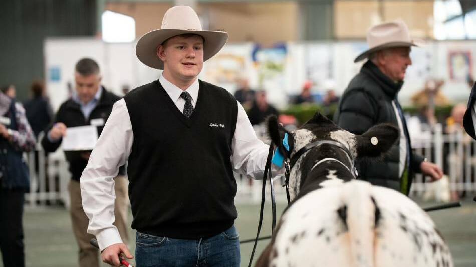 POSSIBILITY: A beef cattle exhibiting show could go ahead in regional Victoria this year.