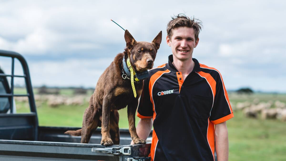 WINNER: Victoria is the only state to have won the challenge twice, including when Henry Lawrence and his Kelpie Boof claimed the gong in 2018.