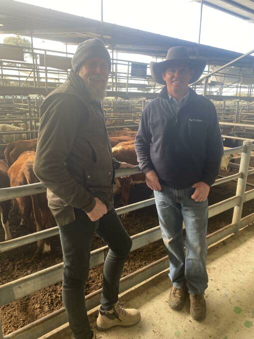 VENDOR: Paul Whelan, Bairnsdale, sold nine Hereford cows with calves at foot for $3100. Pictured with Bill Wyndham & Co agent Brent Coster.