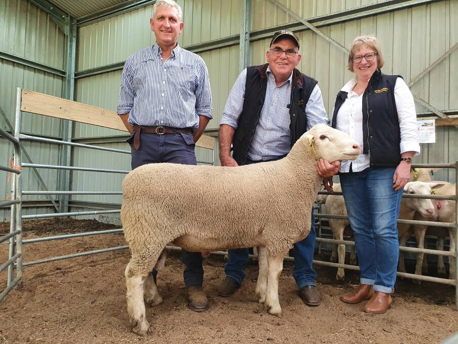 SALE TOPPER: Waratah White Suffolks stud principals Steve and Debbie Milne with LMB Livestock agent Bernie Grant (left) and the top-priced $8000 ram bought by Boonaroo White Suffolks, Casterton, via AuctionsPlus.