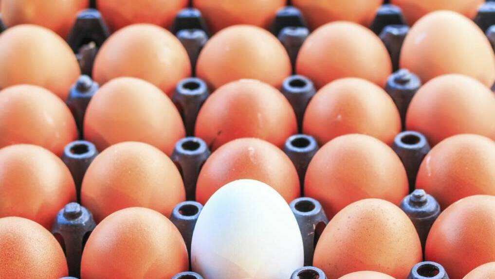 BEAT IT: A Heywood egg producer has been fined for selling eggs illegally.