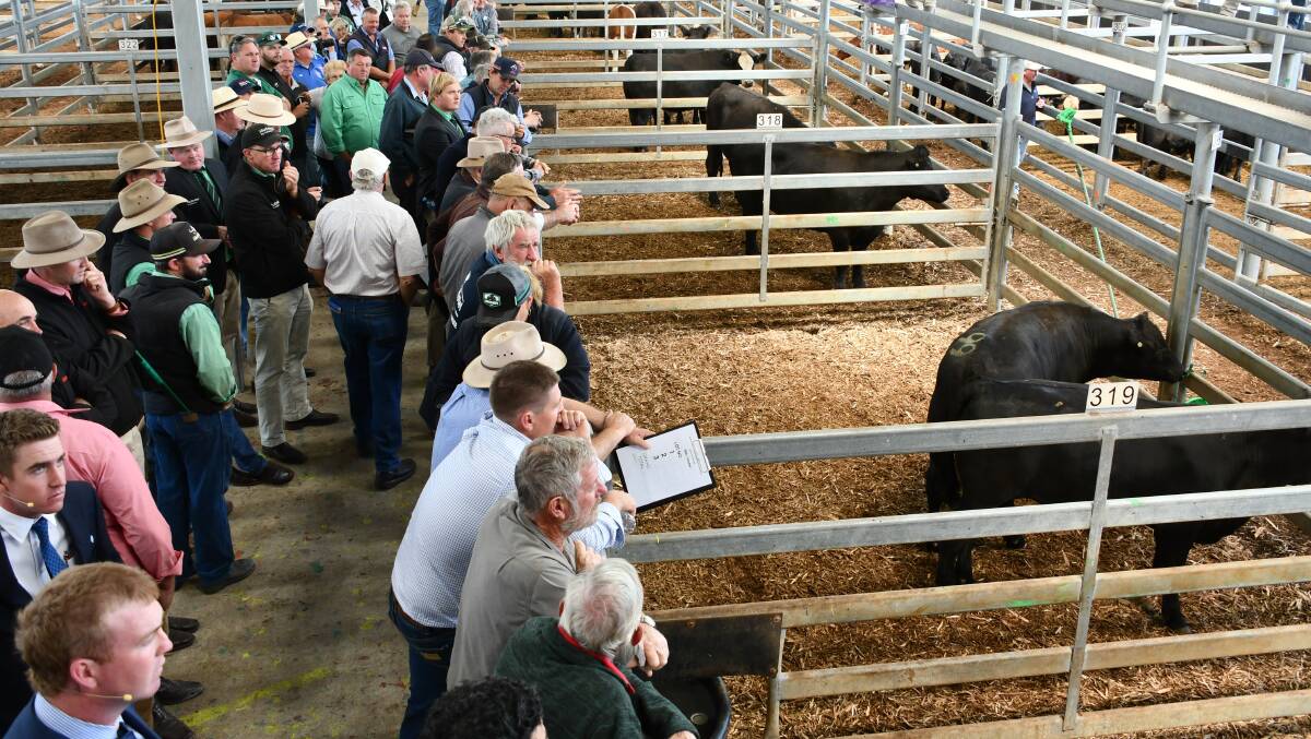 GALLERY: Buyers and onlookers wait for the sale to start.
