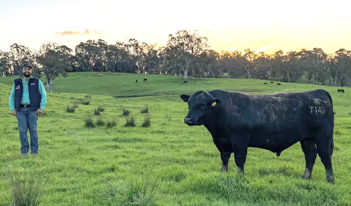 Riga Angus stud co-principal Tim Finger, Mansfield, with the top-priced 2023 spring sale bull, Riga Tsunami T149, which was bought by a client in north-east Victoria via AWN Wangaratta. Picture supplied