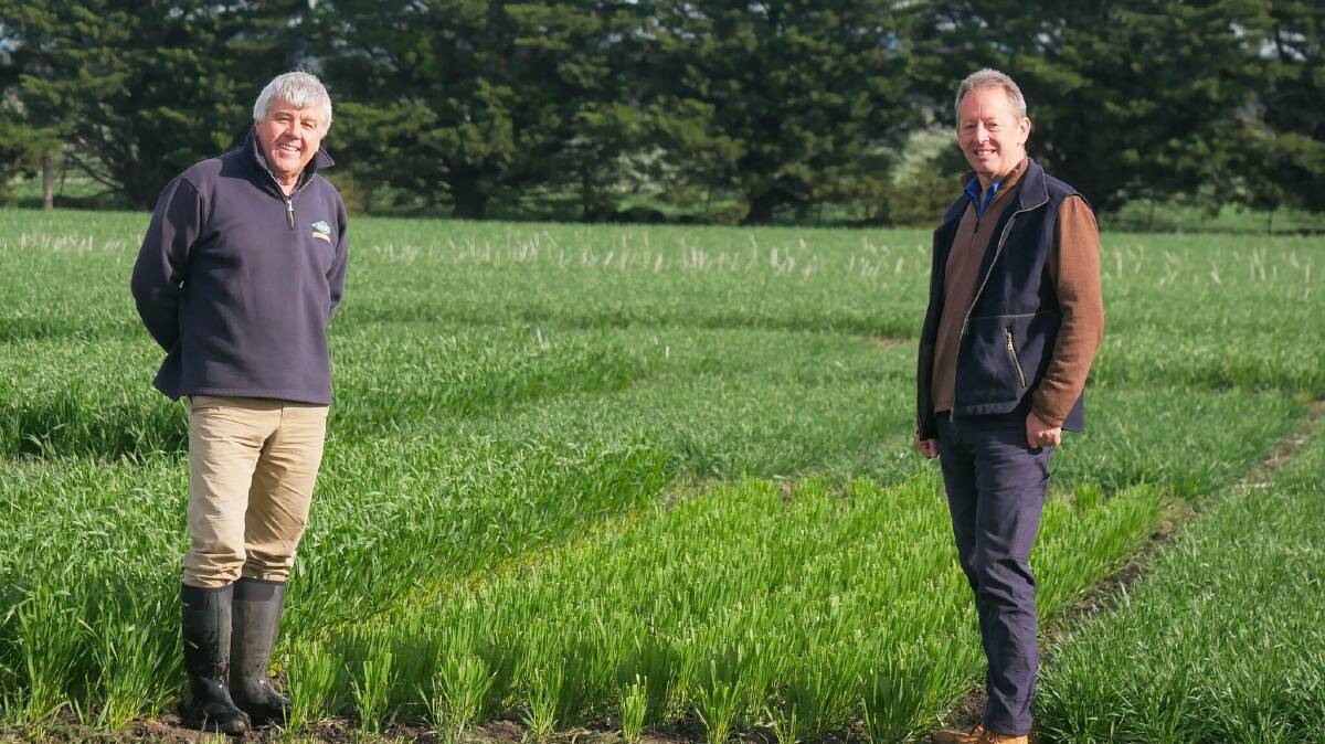FUTURE INVESTMENT: Field Applied Research Australia Yielding Crops project leader Nick Poole and extension coordinator Jon Midwood will present at a field day next week. Photo by Dean Allen-Craig.