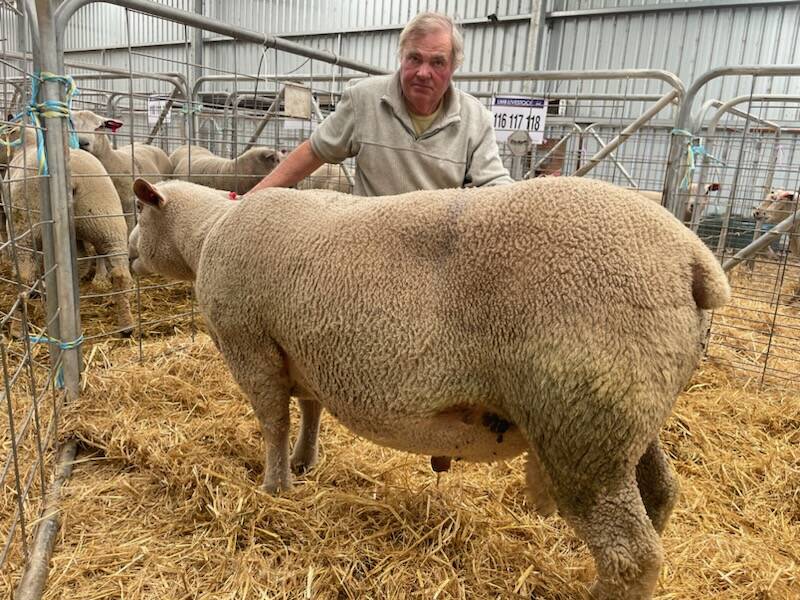 Camlea Charolais stud principal Kevin Feakins, Cudgee, with the top-priced Charollais ram. Picture supplied