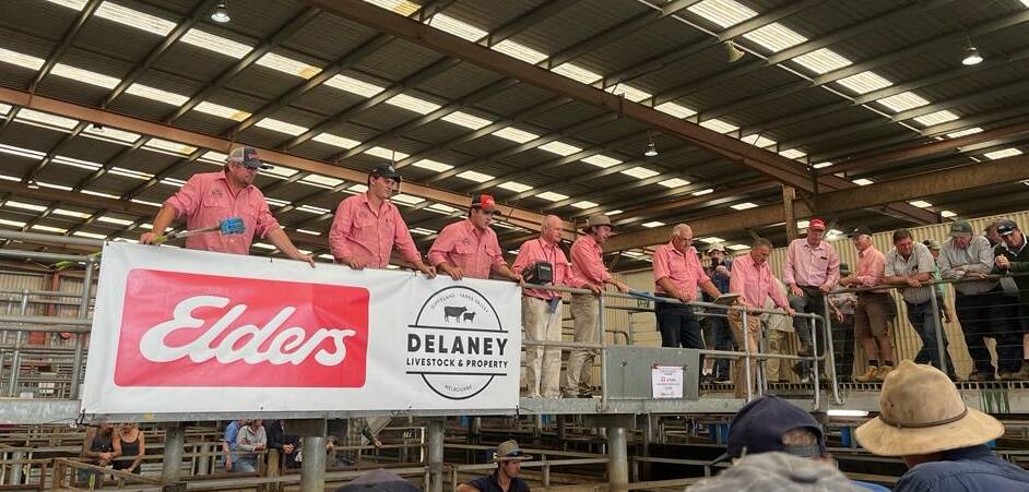 The Elders Delaney Livestock & Property team at a recent Pakenham store cattle sale. Picture supplied