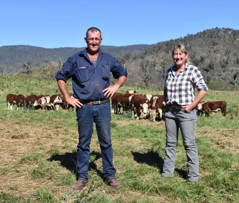 FAMILY DUO: Hereford breeders and brother and sister Peter and Cathy McCoy say high cattle prices have boosted their confidence and optimism after losing their entire Bundar Valley property during last year's bushfires.