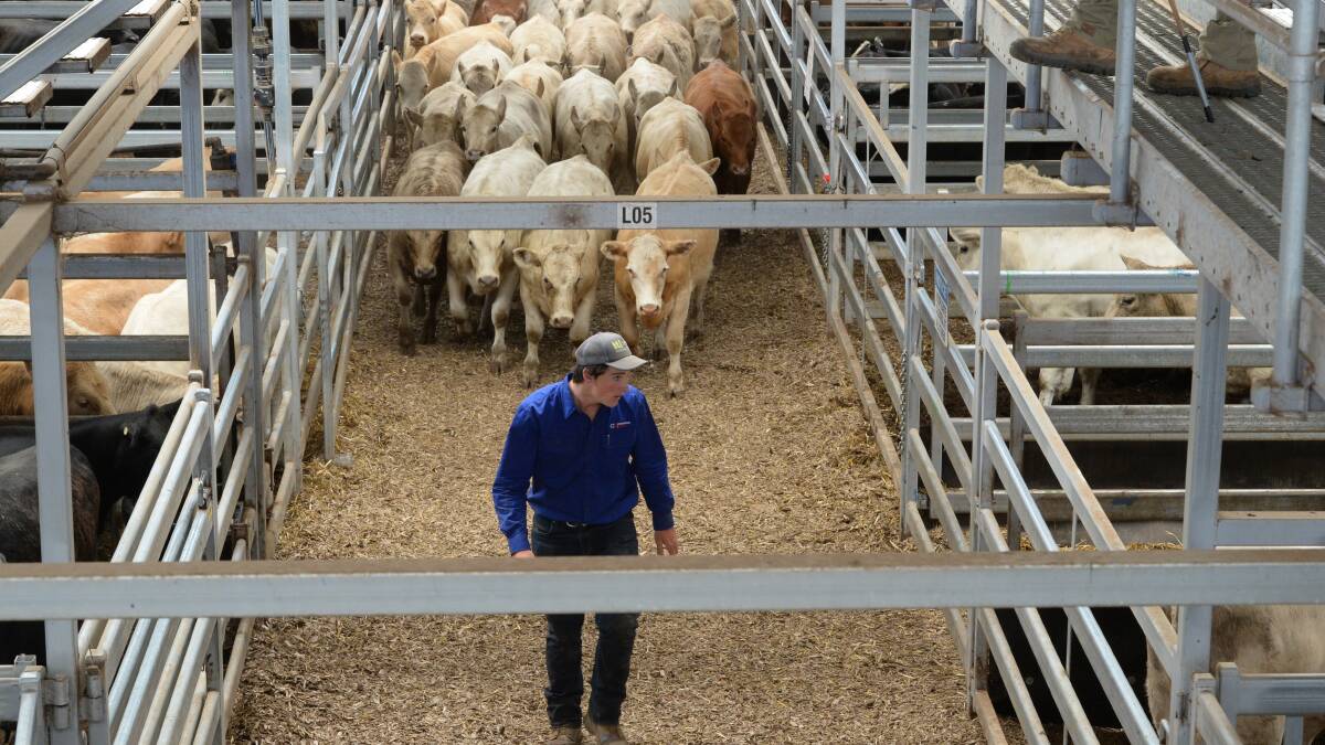 DEMAND: Nutrien Ag Solutions says state and federal governments have been "proactive" by ensuring live exports continue in Australia.