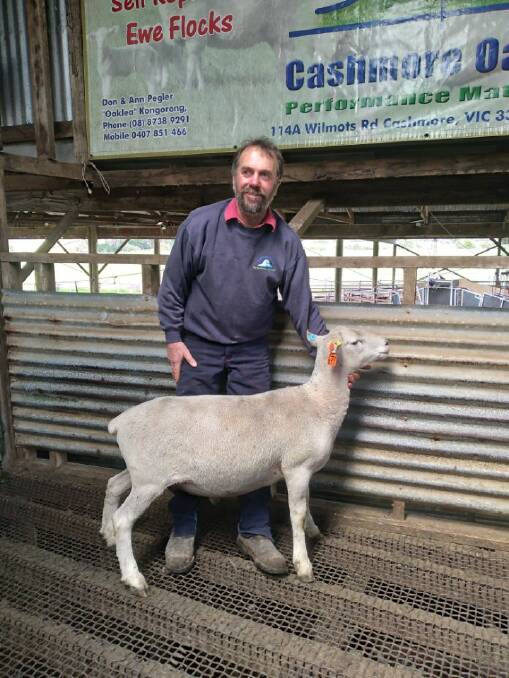 Cashmore Park stud principal John Keiller with top-priced Nudie ram, Lot 679 218460, which sold for $13,400.