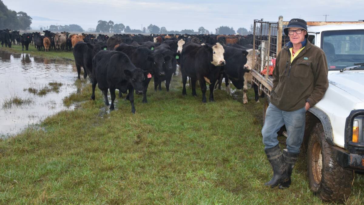 WET: Gippsland beef farmer Alan Paulet, Glengarry, was one of many farmers in Victoria who experienced a wet winter when his farm on the Latrobe River flooded.