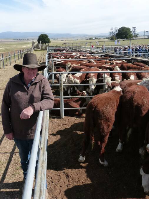 VENDOR: Ron Johnston, Black Camp Creek, Omeo, will sell 115 Hereford calves at Omeo in March.