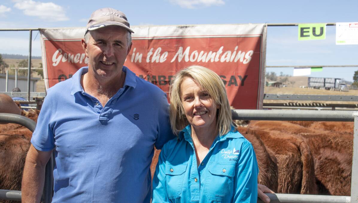SALE: Simon and Sonja Lawlor, Upper Livingstone, Omeo, will offer about 200 mixed-sex Hereford weaners at the Omeo calf sale. Photo by Emily McCormack.