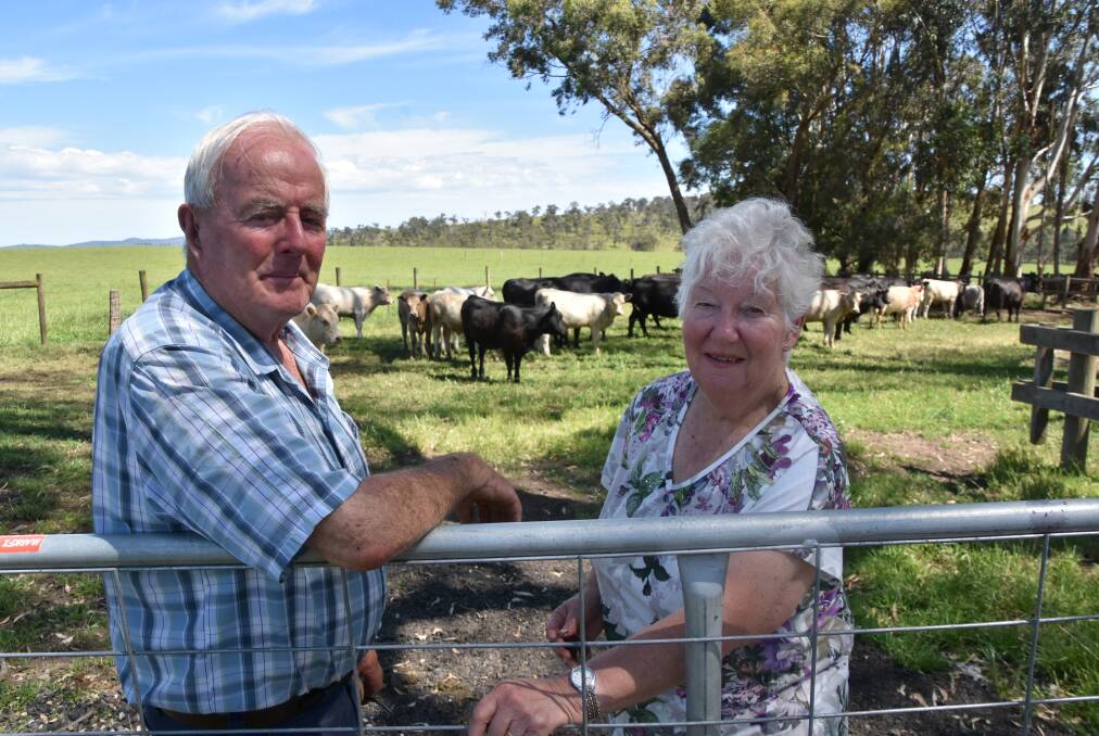 ANNUAL DRAFT: Yarra Valley beef breeders Peter and Lorraine Burgi, Gruyere, will sell 100-110 Charolais/Angus-cross calves at Pakenham in January.