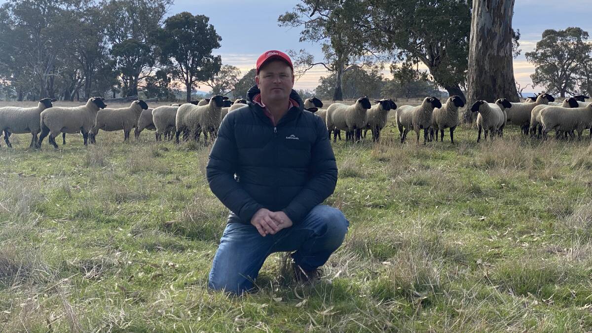 IMPROVING GENETICS: Sayla Park Suffolk stud principal Jon Sutherland, Willowmavin, has invested in an embryo transfer program to improve the genetic traits of his flock.