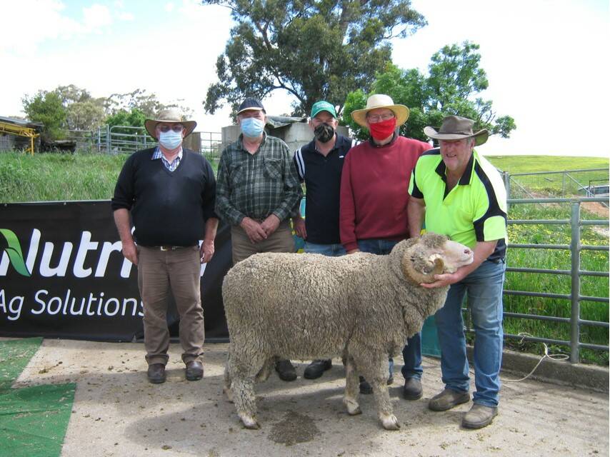 SALE TOPPER: Wattlebank Merino stud co-principal Stephen Glen, with top-priced buyers Bruce and Matt Zeuschner, Lillicur Pastrol, with wool specialist Alan Sievers and co-principal Ian Glen holding the top ram.