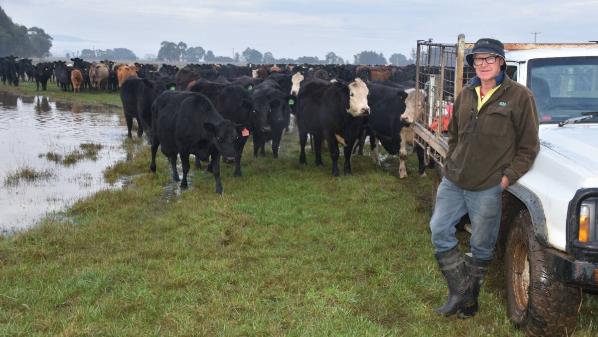 Gippsland beef farmer Alan Paulet, Glengarry, received more rain in 36 hours compared to the three months leading up to the spring deluge. File picture