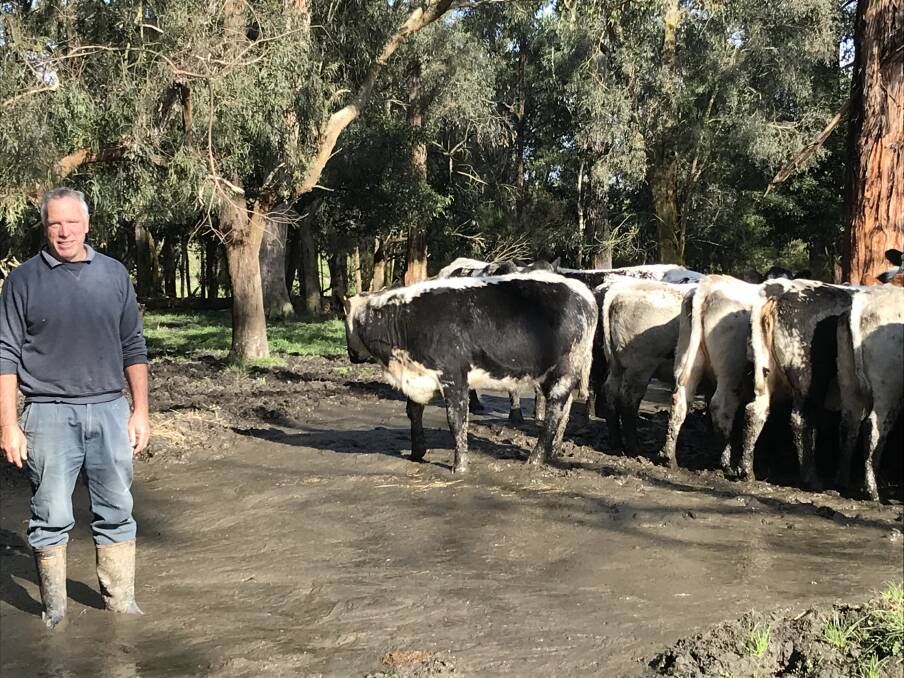 BOOTS NEEDED: Beef farmer Dale Scott, Stony Creek, has offloaded cattle due to the unusually wet conditions in South Gippsland.