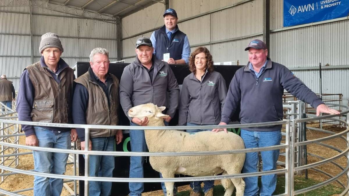 Matthew and Greg McNally, St Arnaud, Clover Valley White Suffolks principals Brad and Naomi Medlyn, Stuart Mill, and AWN agents Scott Jackson and Wayne Driscoll (back rear) with the top-priced ram.