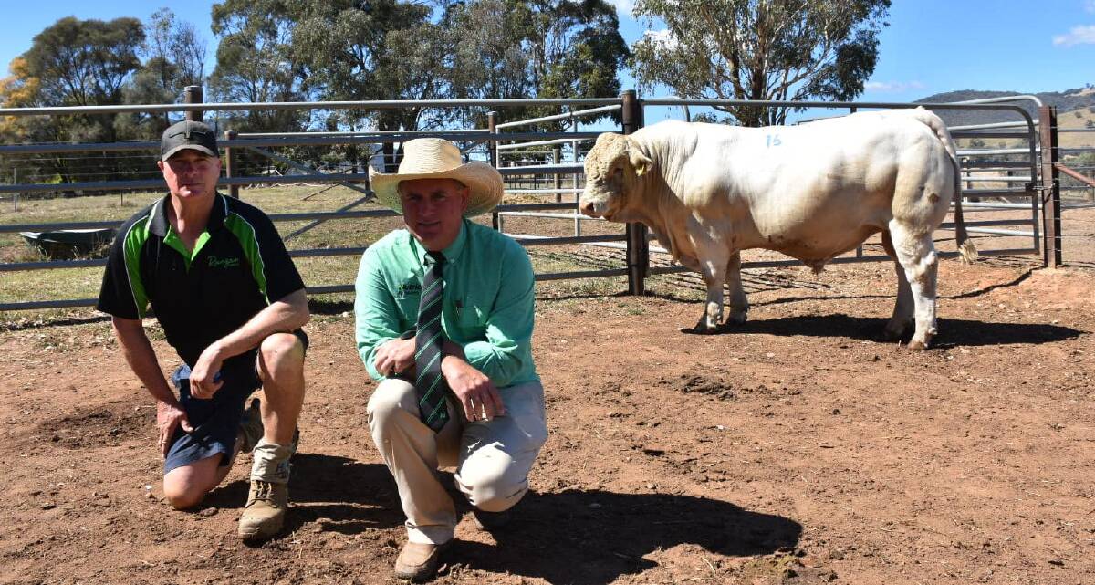 Rangan Charolais stud principal Graeme Cook, Charleroi, with Nutrien South East stud stock manager Peter Godbolt and the 2023 top-priced Charolais bull. Picture supplied