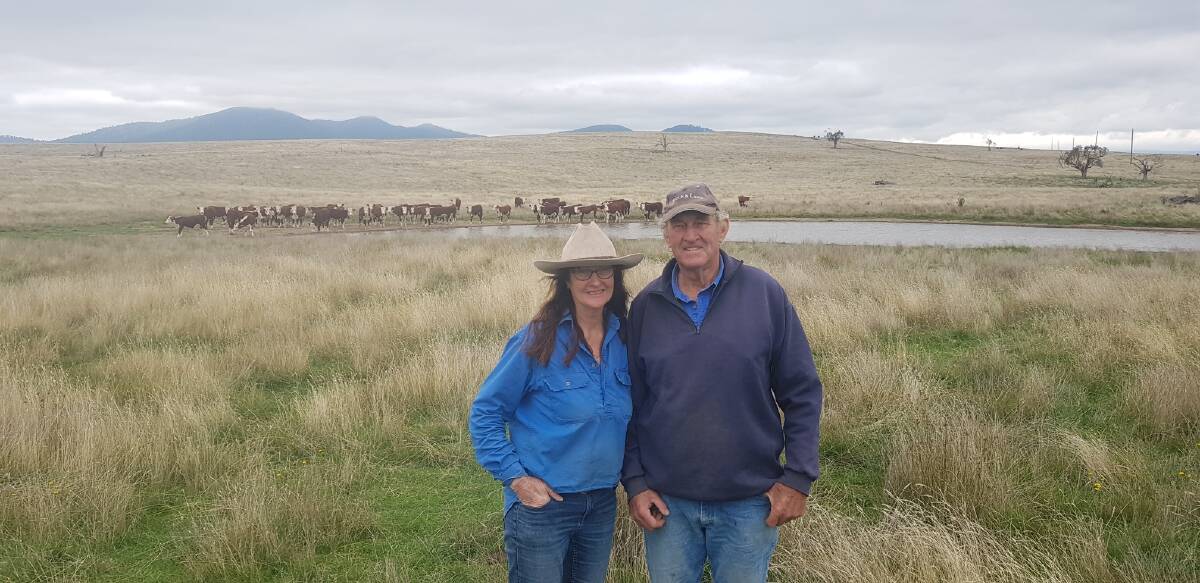 VENDORS: Dianne and Clive Anderson, Delvin Park, Benambra, will offer 360 mixed-sex calves at Benambra and Omeo during the Mountain Calf Sales next week.