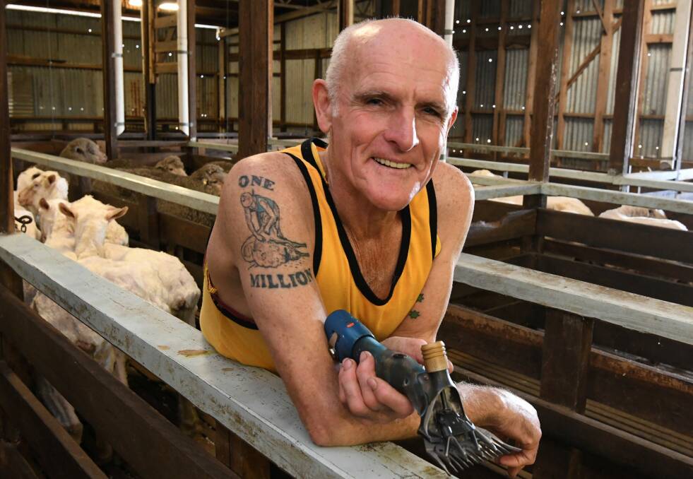 A million plus: Trevor Kearns still relishes the job of shearing after 50 years. Picture: Lachlan Bence.
