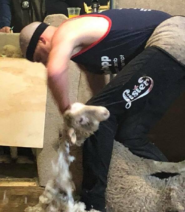 IN ACTION: World record holder Aidan Copp shearing a lamb during his world record attempt on Saturday where he was shearing for eight-hours. Photo by Nikki Reynolds.