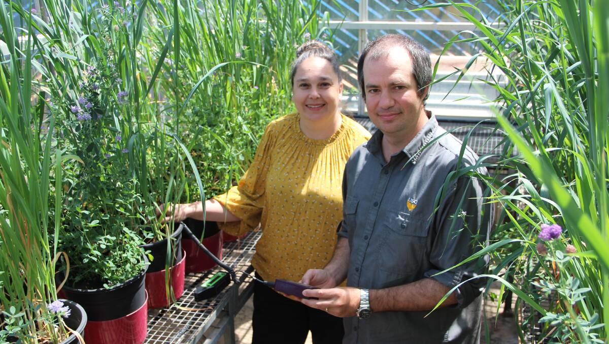 FUTURE: Justine Baillie and Associate Professor Keith Pembleton are the program directors for USQ's new Bachelor of Agricultural Technology and Management degree.