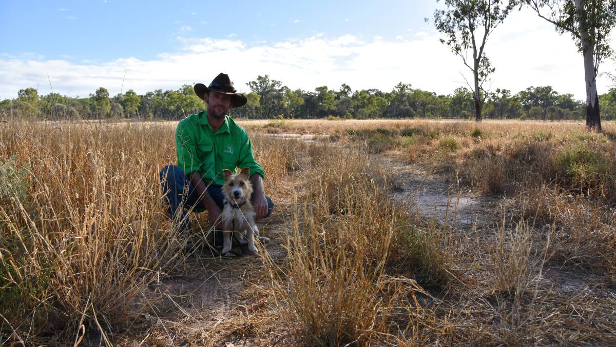 ON THE HUNT: Northern Trapping's Jordy Oostrom with his indicator dog Scruffa, sniffing out wild dogs at Victoria Downs. Photo: Jessica Johnston.