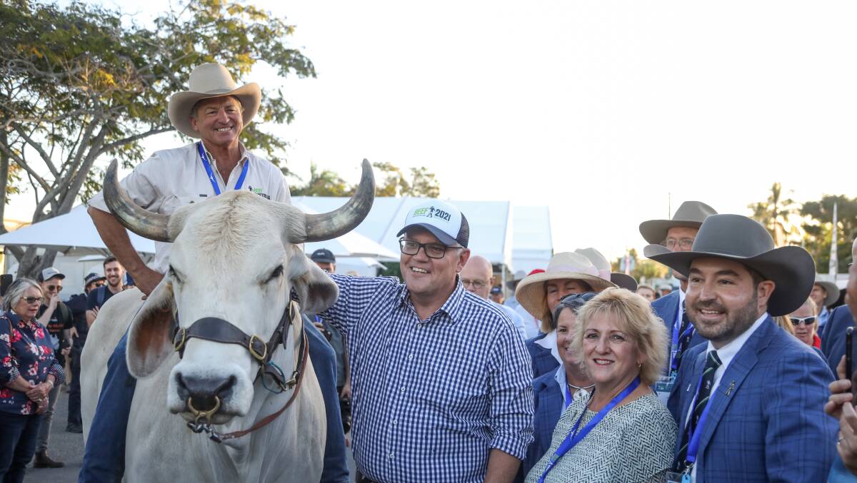 Longreach's John Hawkes and Ollie the Brahman bullock with Prime Minister Scott Morrison, Capricornia MP Michelle Landry, and Beef Australia chairman Bryce Camm.