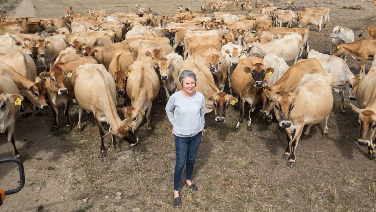 Dairy farmer Jill Porter has received a Polwarth Medal for her community work after the 2018 St Patrick's Day Fires. Photo by Christine Ansorge.