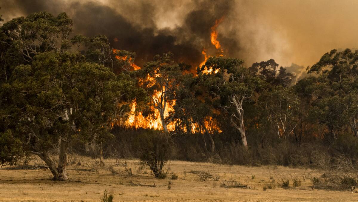 The Tallaganda bushfire near Canberra. Picture: Dion Georgopoulos