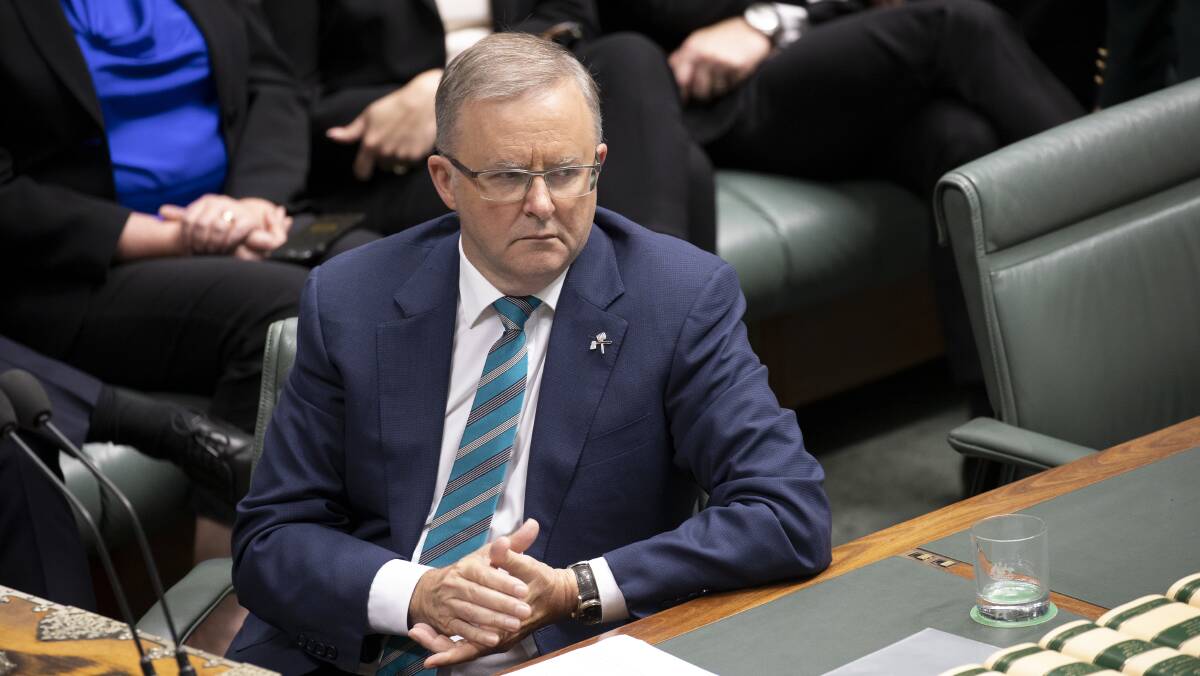 Labor's Anthony Albanese. Picture: Sitthixay Ditthavong
