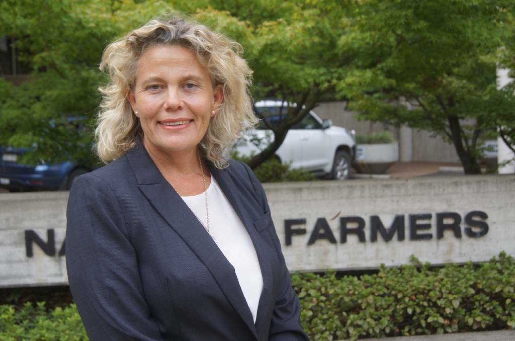NFF president Fiona Simson will outline ag policies to COP27 this week saying it is possible to take action on climate, while meeting global demand for food and fibre.