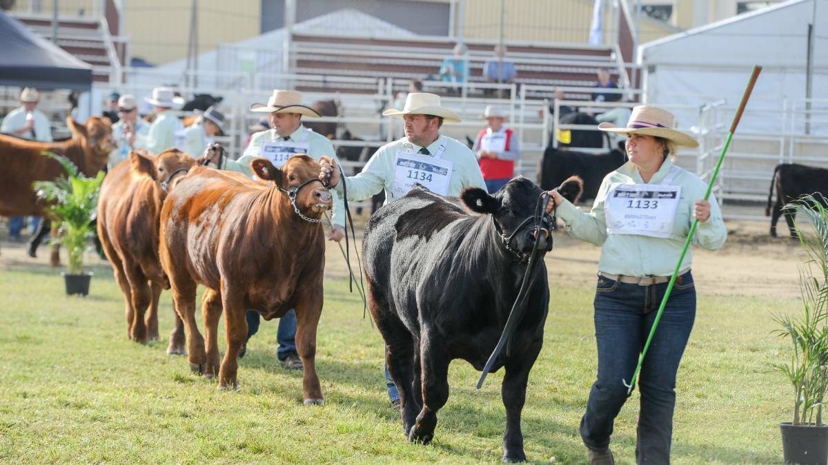Beef producers encouraged to take advantage of an interlude of good times and focus on what makes the cattle industry great.