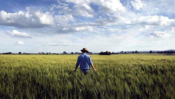 An analysis by the Victorian Farmers Federation points to a 4.5 per cent average farm land rate rise across regional and rural areas this year.