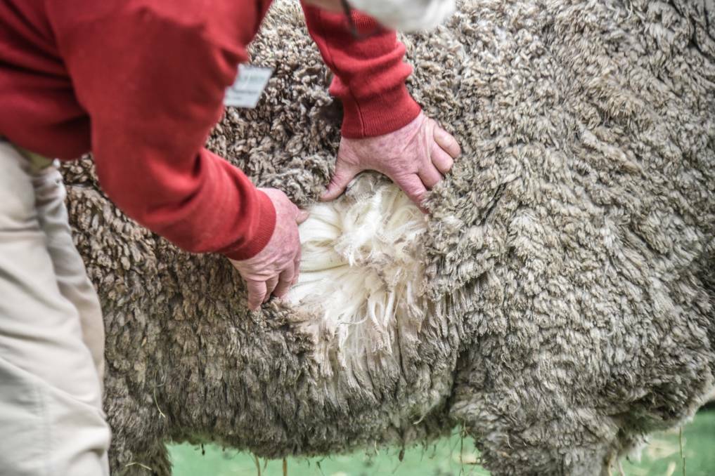 QUALITY PRACTICES: Initiatives are rolling-out to ensure Australia's wool industry is globally recognised for its sustainability and regenerative farming efforts.