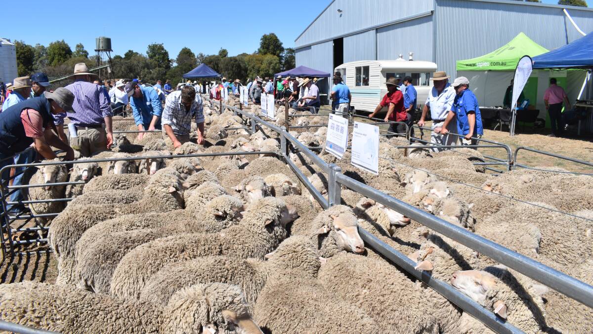 GOOD STORY: The quality of the wool clip has continued to rise and the fibre is one people wanted to wear AWI board director Don Macdonals says.