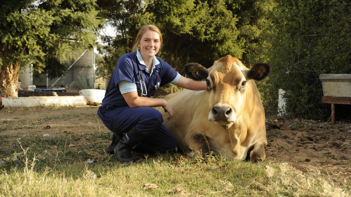 SCholar: Lucy Collins from Dixie, has received a Nuffield Scholarship supported by the Gardiner Dairy Foundation tp study animal welfare programs in Australia and overseas.